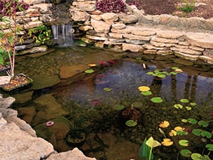 https://www.thepondguy.com/content/pdp/images/aquascape-diy-backyard-pond-kit-8x11-feature-image.jpg