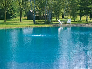 Vision Pond - Blue Pond Dye